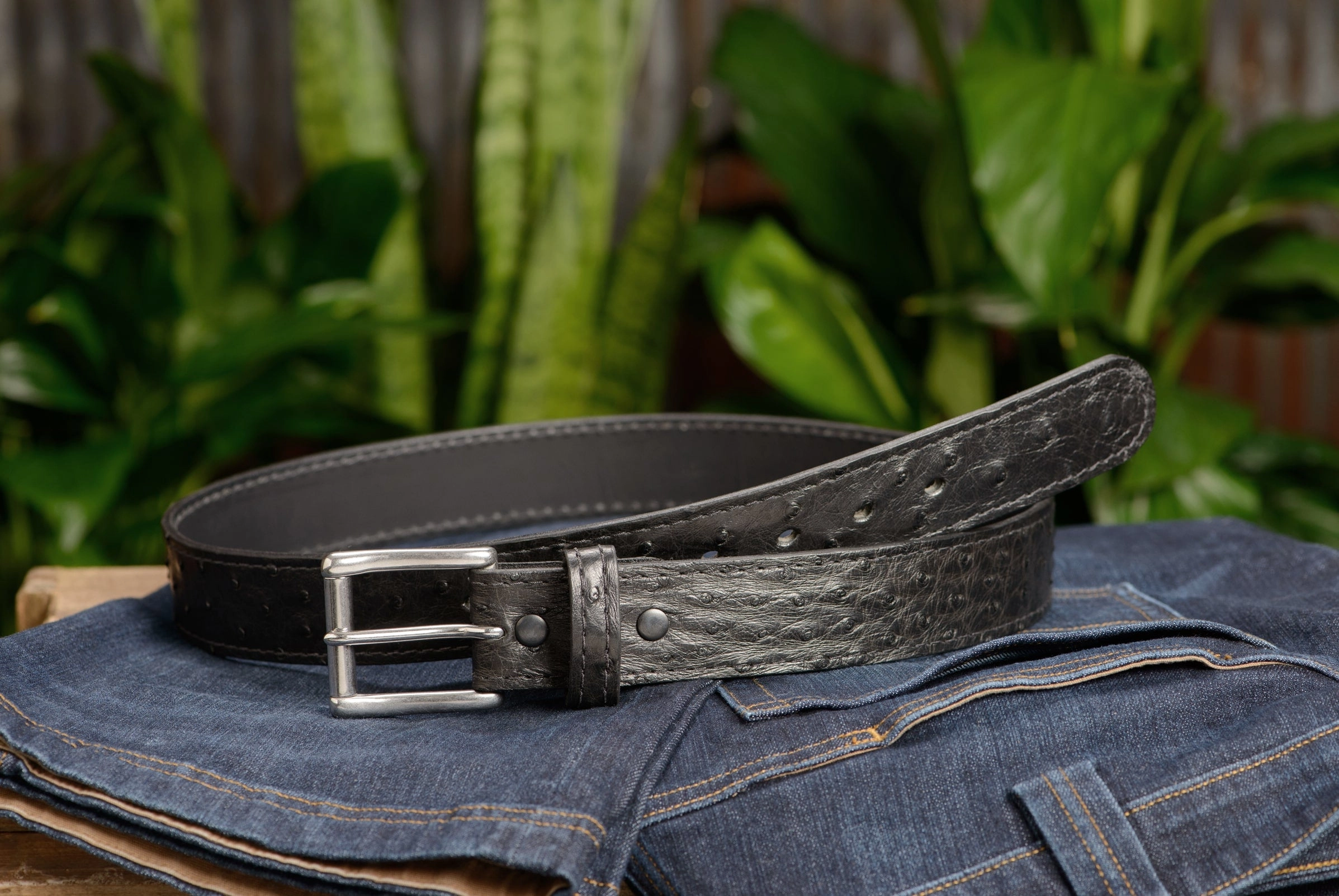 Black South African Ostrich Skin Max Thickness Gun Belt