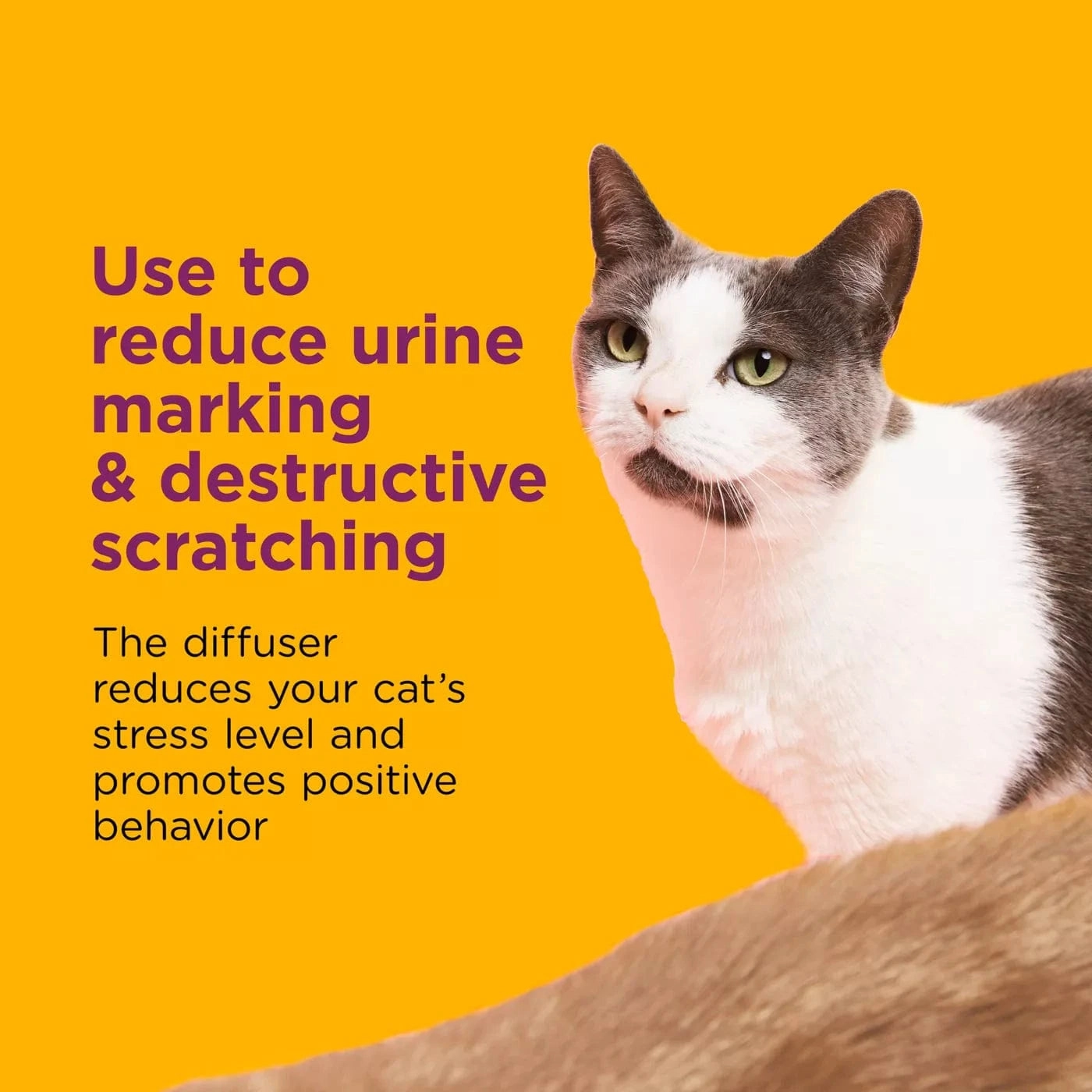 Comfort Zone Single & Multi-Cat Soothing Diffuser Kit
