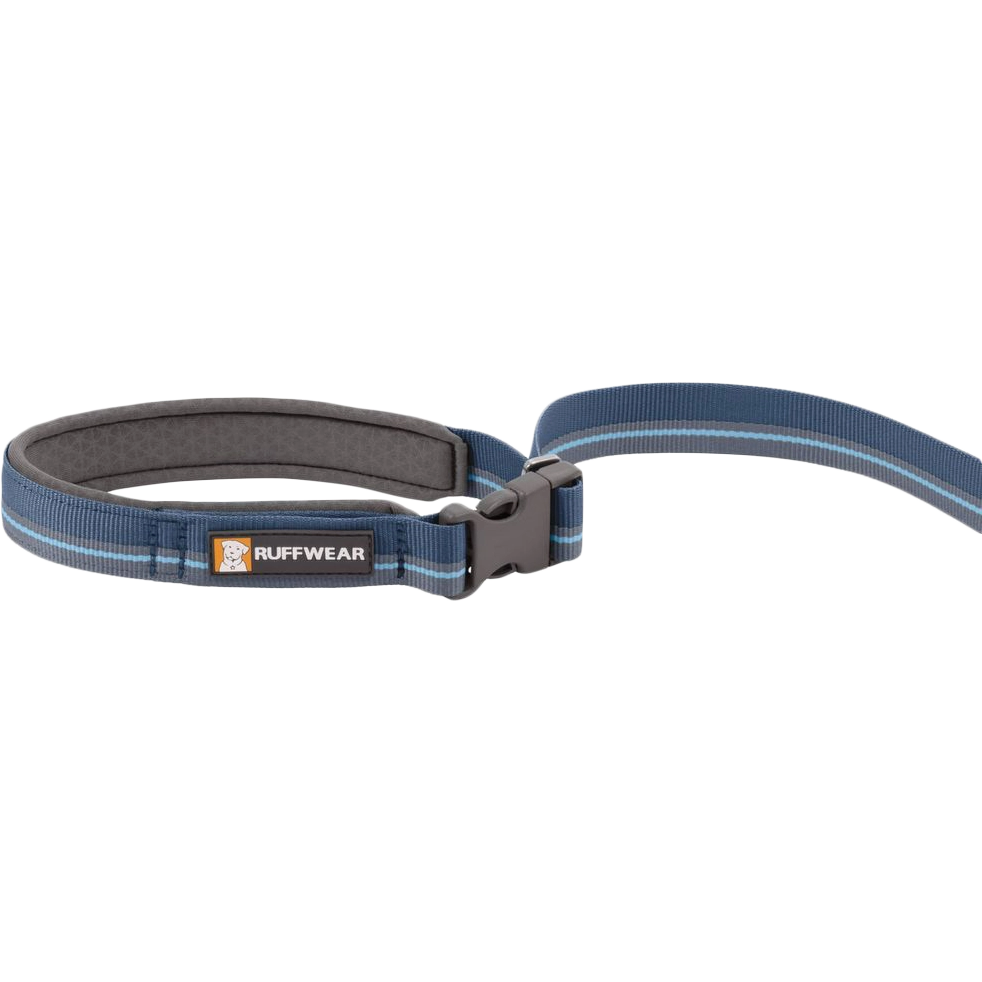 Flat Out Adjustable Dog Leash