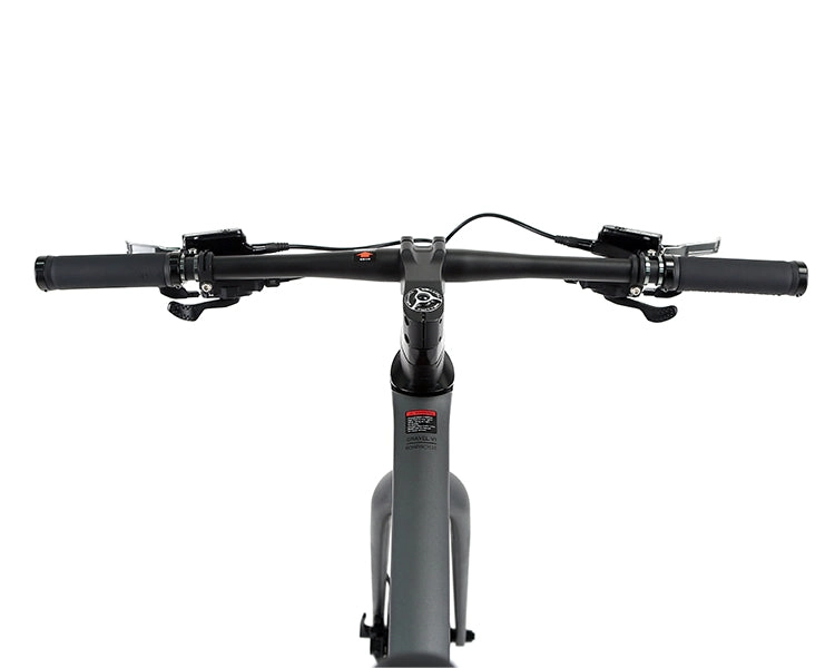 GRAVEL V1 - PB (Hybrid) - RS LTWOO 24 Speed - Carbon Fiber Gravel Bike