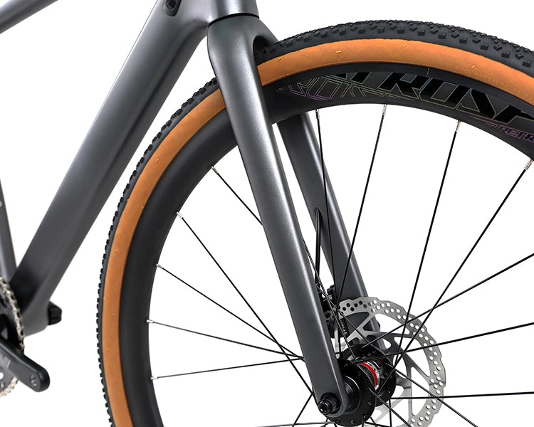 GRAVEL V1 - PB (Hybrid) - RS LTWOO 24 Speed - Carbon Fiber Gravel Bike