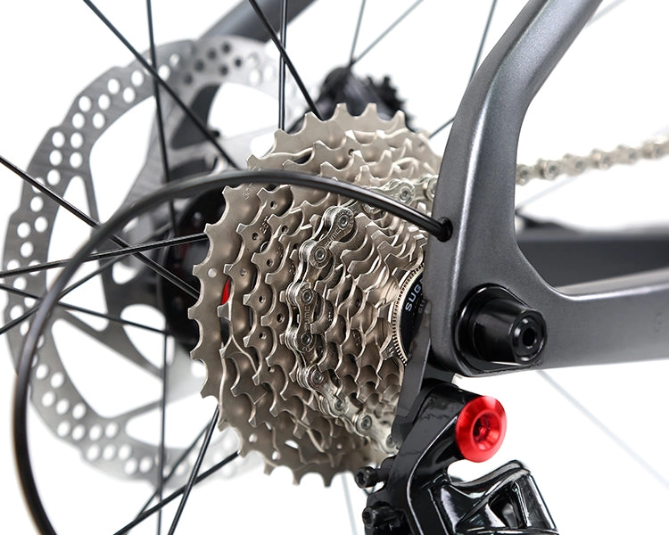 GRAVEL V1 - PB (Hybrid) - RS LTWOO 24 Speed - Carbon Fiber Gravel Bike