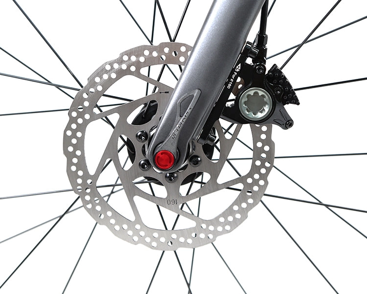 GRAVEL V1 - PB (Hybrid) - RS LTWOO 24 Speed - Carbon Fiber Gravel Bike