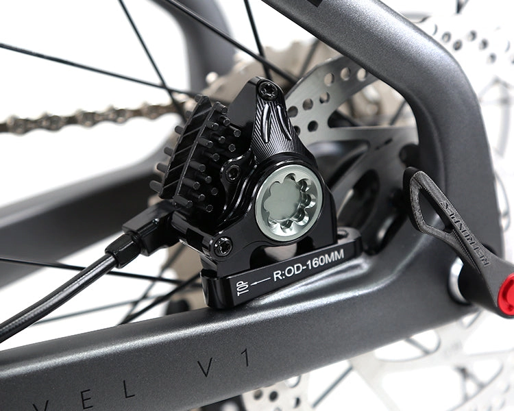 GRAVEL V1 - PB (Hybrid) - RS LTWOO 24 Speed - Carbon Fiber Gravel Bike