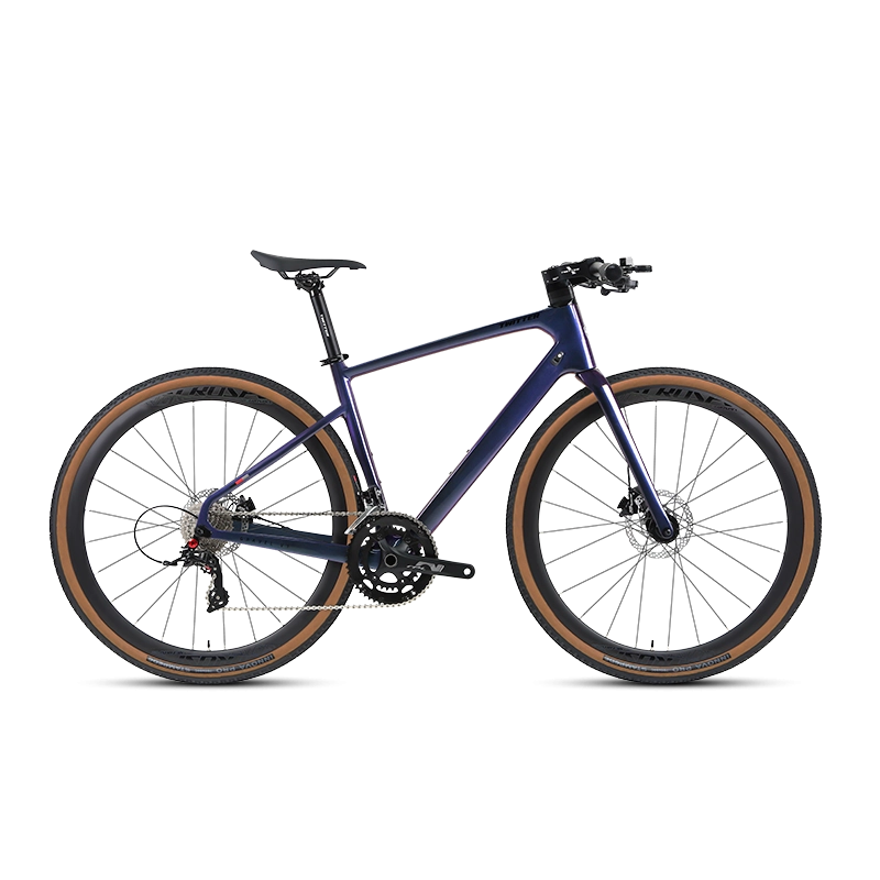 GRAVEL V1 - PB (Hybrid) - RS LTWOO 24 Speed - Carbon Fiber Gravel Bike