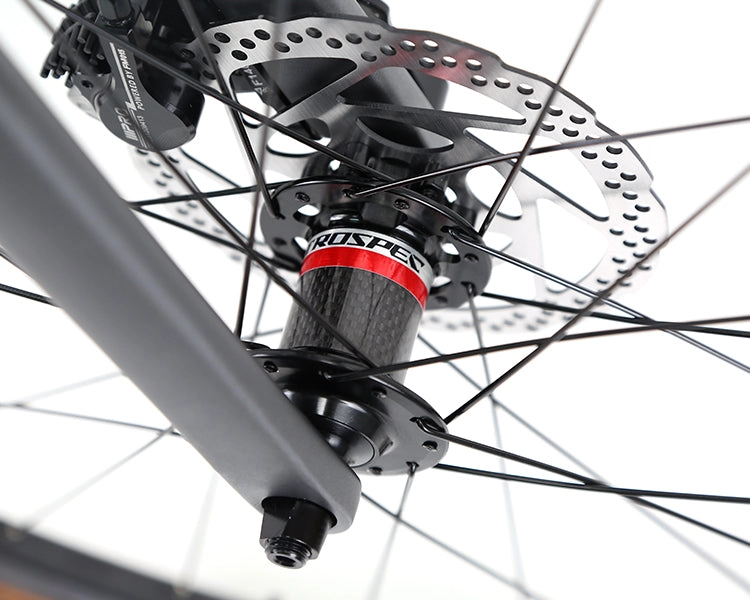 GRAVEL V1 - PB (Hybrid) - RS LTWOO 24 Speed - Carbon Fiber Gravel Bike