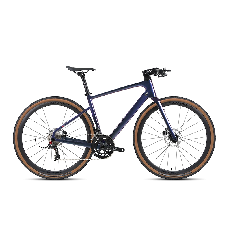 GRAVEL V1 - PB (Hybrid) - RS LTWOO 24 Speed - Carbon Fiber Gravel Bike