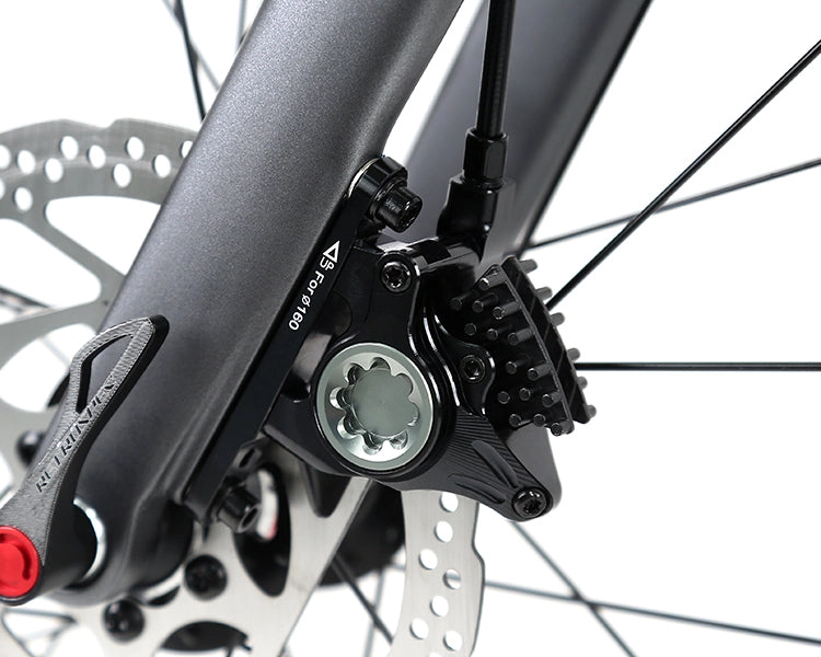 GRAVEL V1 - PB (Hybrid) - RS LTWOO 24 Speed - Carbon Fiber Gravel Bike