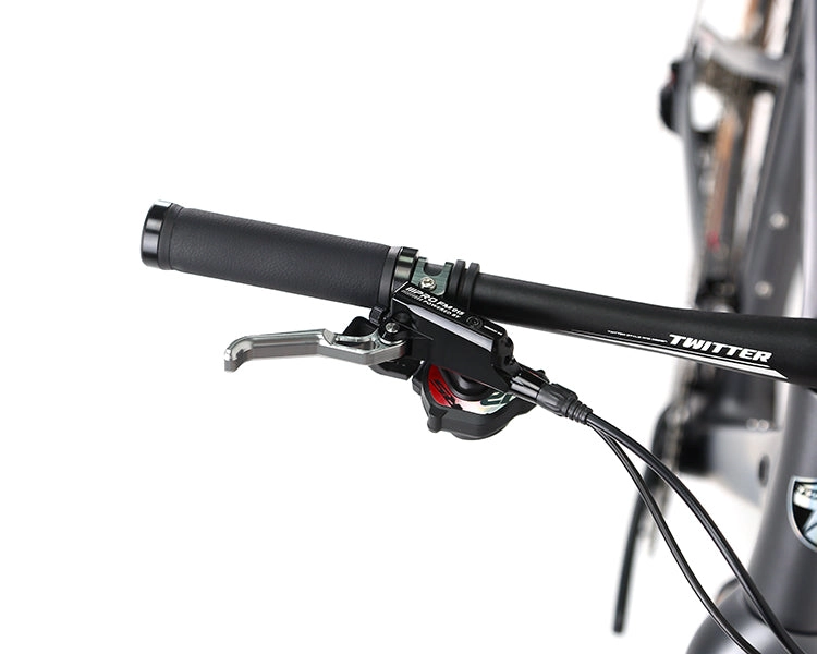 GRAVEL V1 - PB (Hybrid) - RS LTWOO 24 Speed - Carbon Fiber Gravel Bike