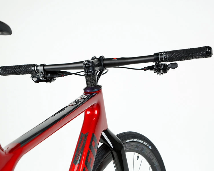 GRAVEL X - PB (Hybrid) - RS LTWOO 24 Speed - Carbon Fiber Gravel Bike