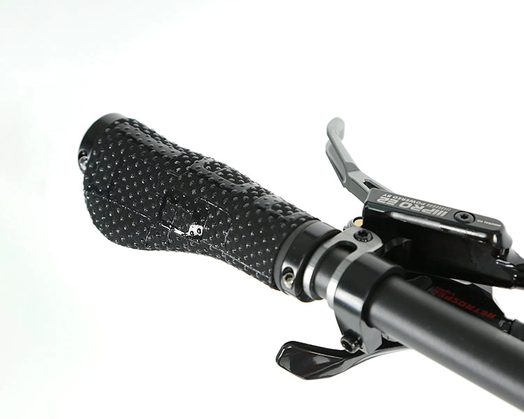 GRAVEL X - PB (Hybrid) - RS LTWOO 24 Speed - Carbon Fiber Gravel Bike