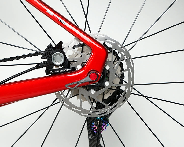 GRAVEL X - PB (Hybrid) - RS LTWOO 24 Speed - Carbon Fiber Gravel Bike