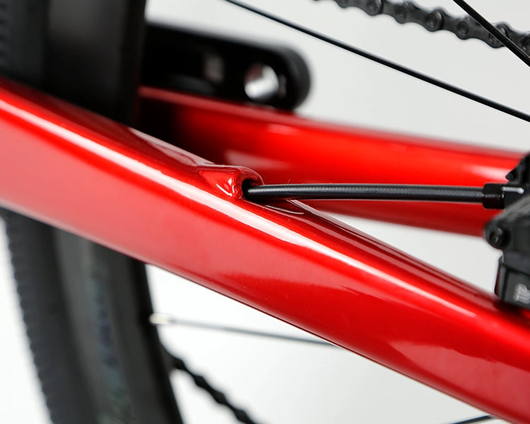 GRAVEL X - PB (Hybrid) - RS LTWOO 24 Speed - Carbon Fiber Gravel Bike