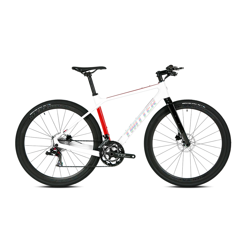 GRAVEL X - PB (Hybrid) - RS LTWOO 24 Speed - Carbon Fiber Gravel Bike