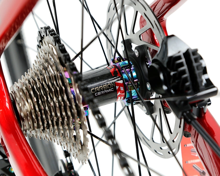 GRAVEL X - PB (Hybrid) - RS LTWOO 24 Speed - Carbon Fiber Gravel Bike
