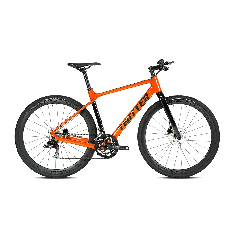 GRAVEL X - PB (Hybrid) - RS LTWOO 24 Speed - Carbon Fiber Gravel Bike