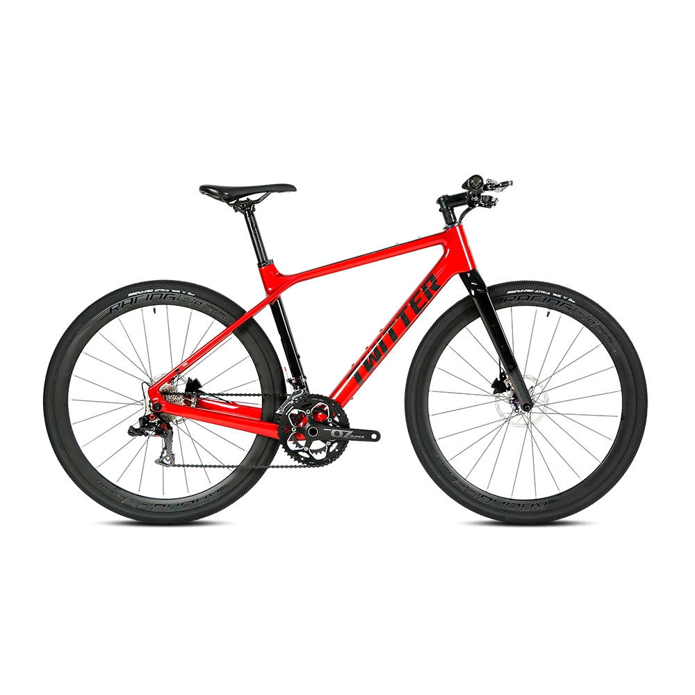 GRAVEL X - PB (Hybrid) - RS LTWOO 24 Speed - Carbon Fiber Gravel Bike