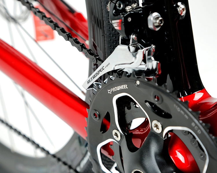 GRAVEL X - PB (Hybrid) - RS LTWOO 24 Speed - Carbon Fiber Gravel Bike