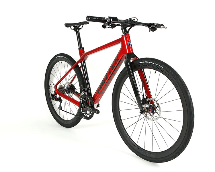 GRAVEL X - PB (Hybrid) - RS LTWOO 24 Speed - Carbon Fiber Gravel Bike