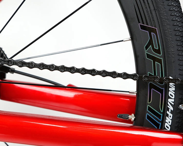 GRAVEL X - PB (Hybrid) - RS LTWOO 24 Speed - Carbon Fiber Gravel Bike