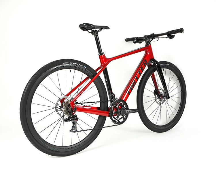 GRAVEL X - PB (Hybrid) - SRAM  NX 11 Speed - Carbon Fiber Gravel Bike