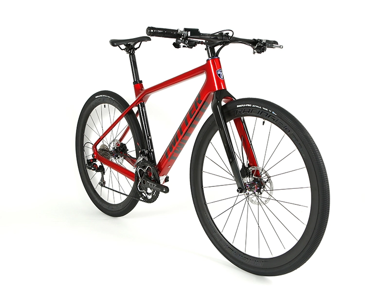 GRAVEL X - PB (Hybrid) - SRAM  NX 11 Speed - Carbon Fiber Gravel Bike