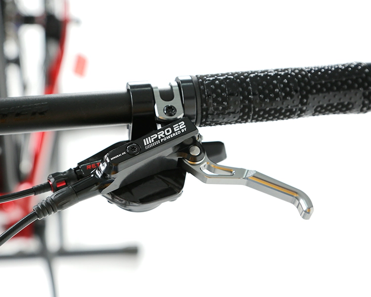 GRAVEL X - PB (Hybrid) - SRAM  NX 11 Speed - Carbon Fiber Gravel Bike