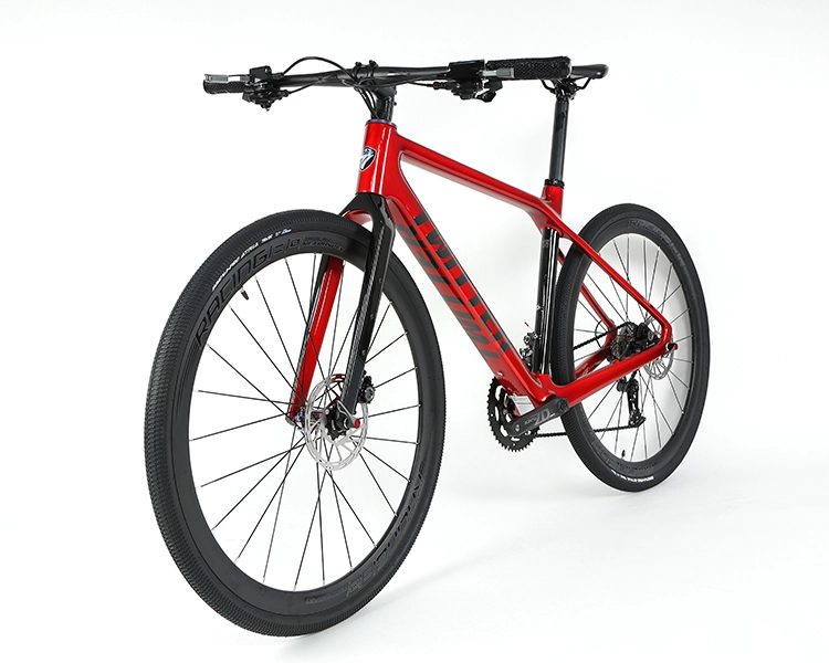 GRAVEL X - PB (Hybrid) - SRAM  NX 11 Speed - Carbon Fiber Gravel Bike