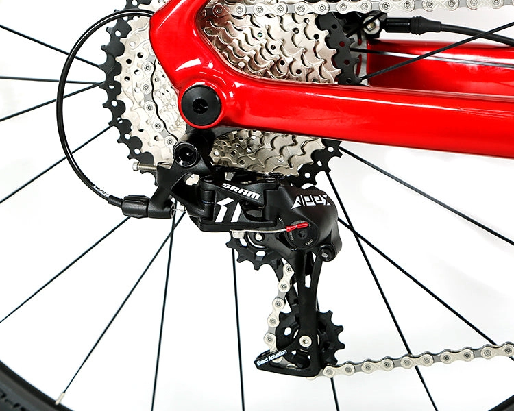 GRAVEL X - SRAM APEX 11 Speed - Carbon Fiber Gravel Bike