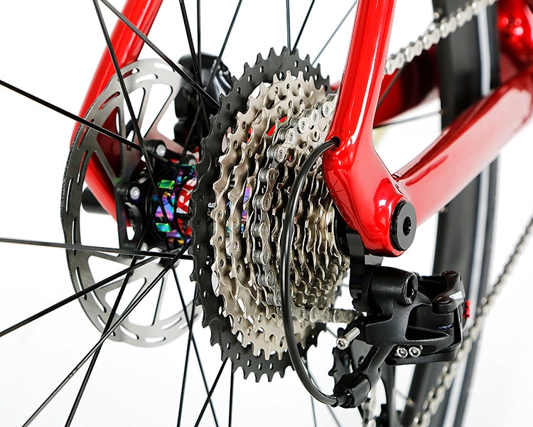GRAVEL X - SRAM APEX 11 Speed - Carbon Fiber Gravel Bike