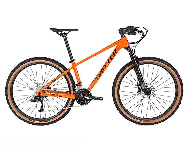 LEOPARD Pro 2025 - RS LTWOO A12 2*12 Speed - Carbon Fiber Mountain Bike
