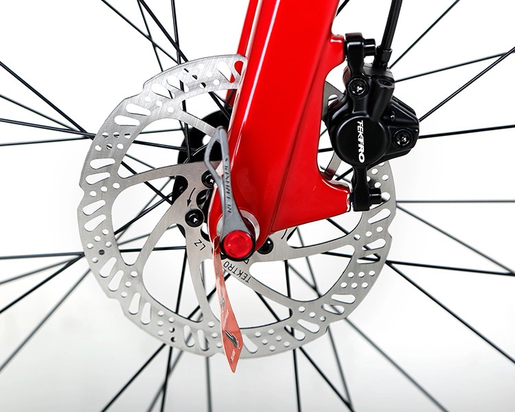 M6 - RS LTWOO AT13 13 Speed - Carbon Fiber Mountain Bike
