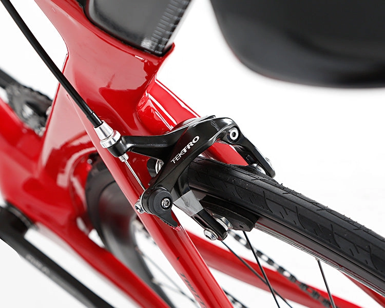 R10 2025 - SRAM RIVAL 22 Speed (C Brake) - Twitter Carbon Road Bike