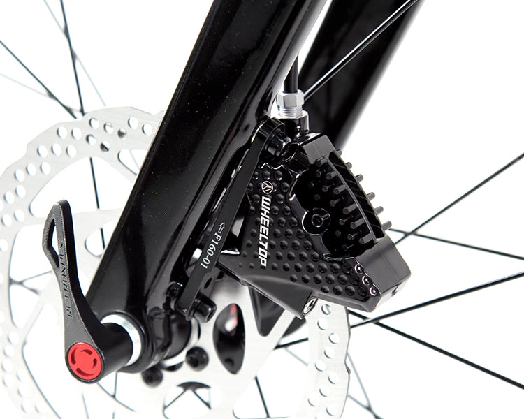 R15 Pro 2025 - WheelTop EDS Wireless 2*12 Speed - Carbon Road Bike