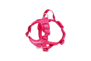 RC Pets Momentum Control Harness for Dogs in Azalea