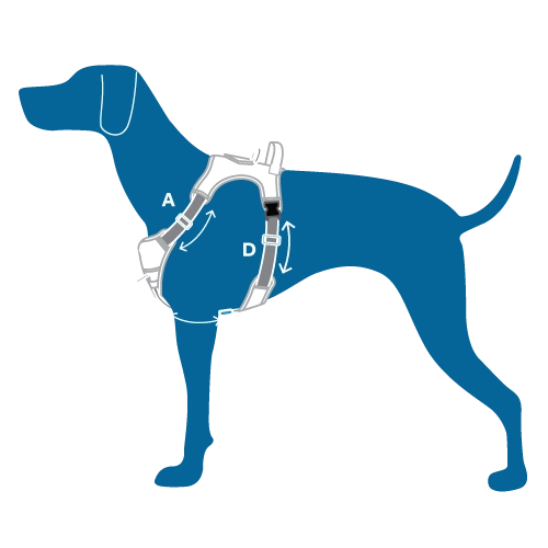 RC Pets Momentum Control Harness for Dogs in Azalea