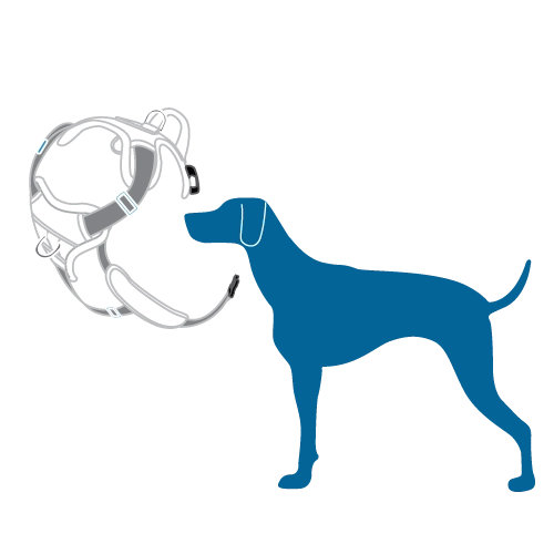RC Pets Momentum Control Harness for Dogs in Azalea