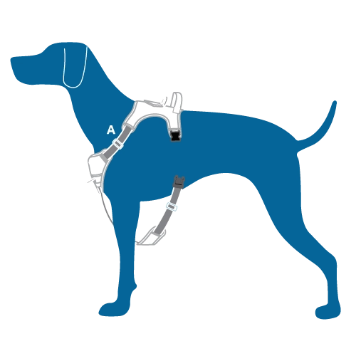 RC Pets Momentum Control Harness for Dogs in Azalea