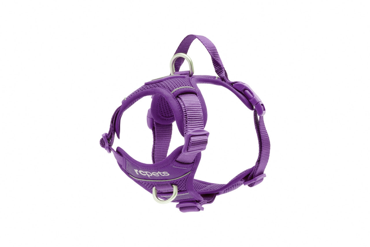 RC Pets Momentum Control Harness for Dogs in Purple
