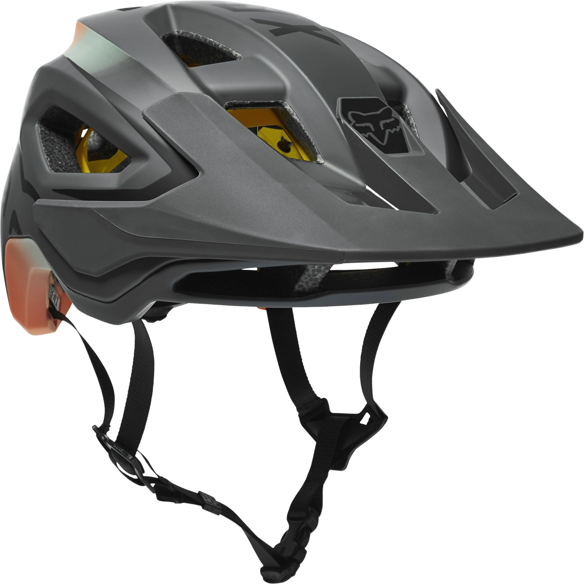 Speedframe MIPS