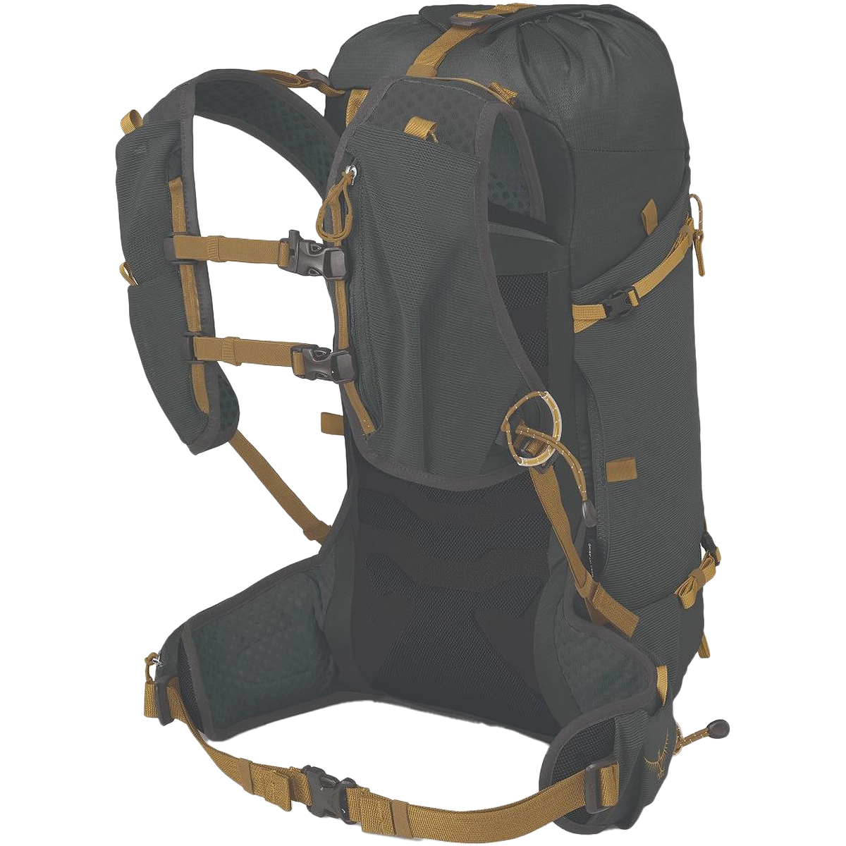 Talon Velocity 20