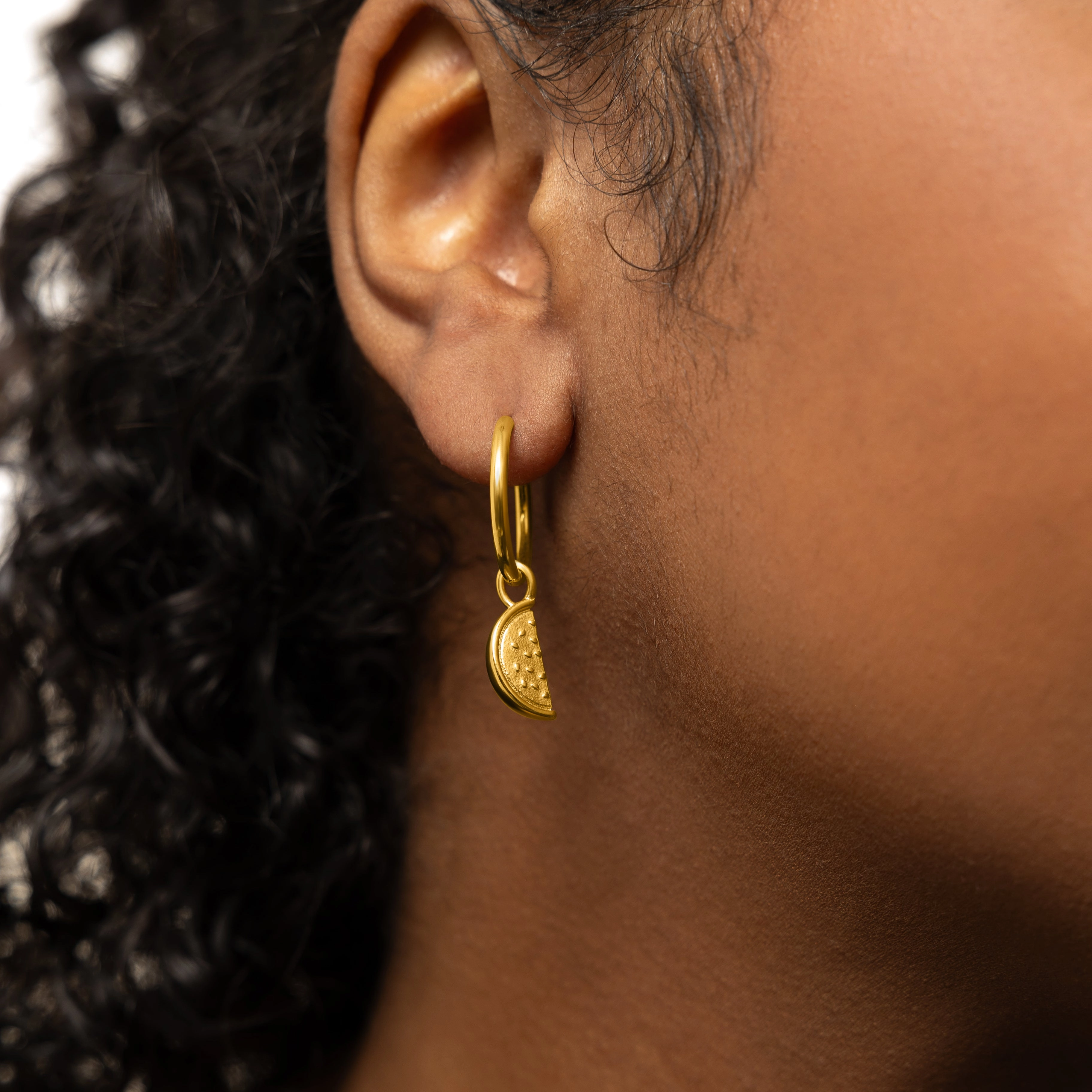 Watermelon Earring Hoop Charm